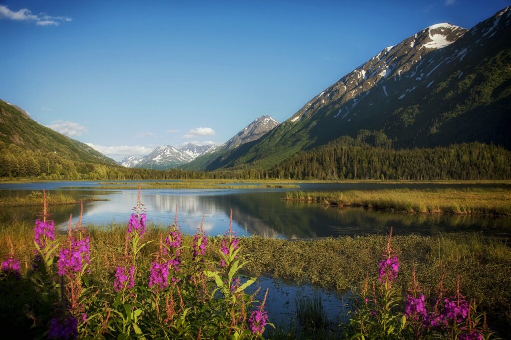 alaska, lake, water-397747.jpg